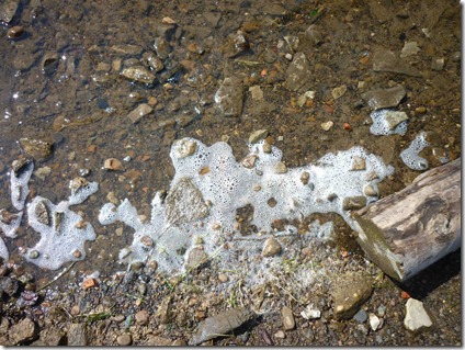25 июня 2013 г. Это берег Ангары напротив Богучан. Берег покрыт какой-то непонятной пеной, все дно, камни в скользкой тине непонятного происхождения. Фото: flam4 для «Плотина.Нет!» 