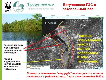 Богучанская ГЭС и затопленный лес. Слайд из презентации Александра Брюханова, координатора лесных программ Алтае-Саянского отделения WWF России