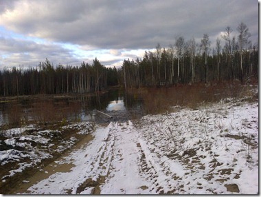 Осень 2012 г. Зона затопления Богучанской ГЭС. Окрестности поселка Таежный Кежемского района Красноярского края. Фото: Людмила Зощенко, Вера Шнайдер