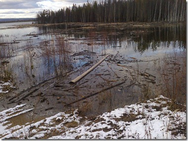 Осень 2012 г. Зона затопления Богучанской ГЭС. Окрестности поселка Таежный Кежемского района Красноярского края. Фото: Людмила Зощенко, Вера Шнайдер