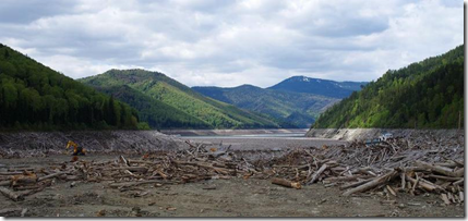 Государство дает 170 миллионов рублей и три года, чтобы закрыть вопрос с древесным хламом в Саяно-Шушенском водохранилище.