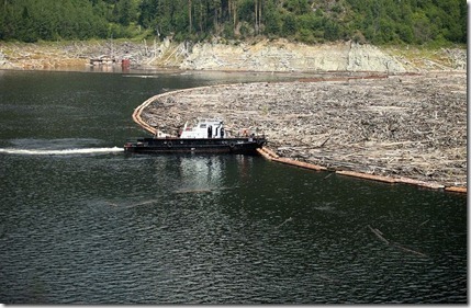 Транспортировка древесного хлама на водохранилище Саяно-Шушенской ГЭС. Фото пресс-службы ОАО РусГидро