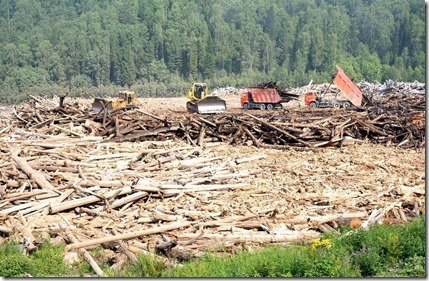 Работы на месте захоронения древесины из водохранилища Саяно-Шушенской ГЭС. Фото пресс-службы ОАО РусГидро