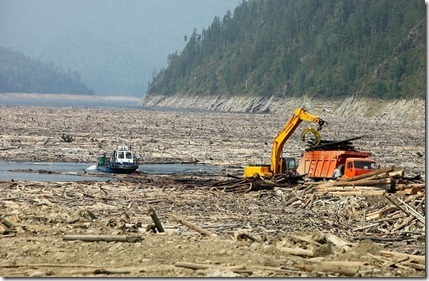 Погрузка древесины из водохранилища Саяно-Шушенской ГЭС для транспортировки на место захоронения. Фото пресс-службы ОАО РусГидро