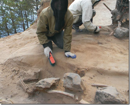 Отико 1. Расчистка погребения. Фото Богучанской археологической экспедиции, 2011 год