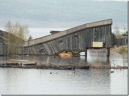 В зоне затопления Богучанской ГЭС. Фото: Евгений Болмасов