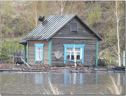 В зоне затопления Богучанской ГЭС. Фото: Евгений Болмасов