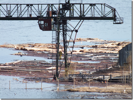 Брошенная лесопилка в зоне затопления Богучанской ГЭС скоро окажется на дне водохранилища. Фото: Евгений Болмасов