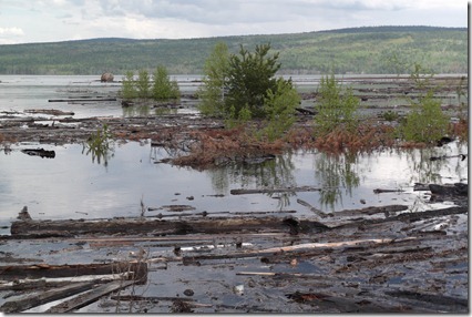 Без лесосводки и лесоочистки водохранилище Богучанской ГЭС сейчас больше похоже на лесохранилище. Фото: Роман Малясов