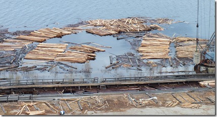 Результаты предыдущей лесоочистки в зоне затопления Богучанской ГЭС