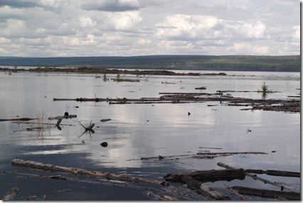 Осень 2012 г. Из-за всплывающей древесины вся поверхность водохранилища Богучанской ГЭС выглядит сегодня примерно одинаково. Фото: Роман Малясов