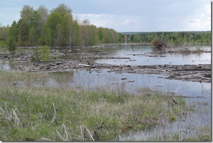 Июль 2012 г. Заполнение водохранилища Богучанской ГЭС. Территория нижнего склада исправительно-трудовой колонии №9 (ИТК-9) у п. Болтурино Красноярского края